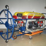 Falcon in Ovality carriage
