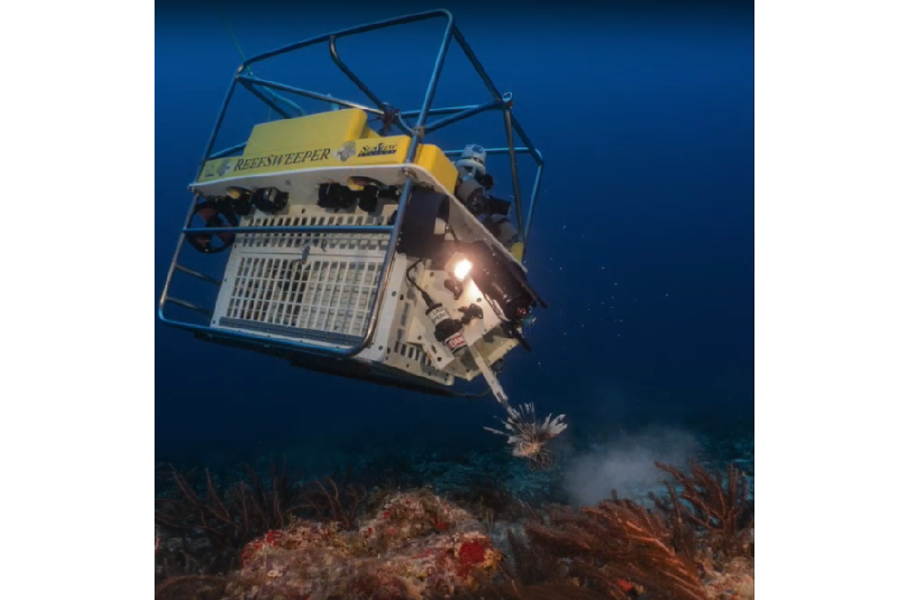 SeaView Systems' Reefsweeper, a lionfish catching robotic remote operated vehicle (ROV) is shown catching a Lionfish in the Caribbean.